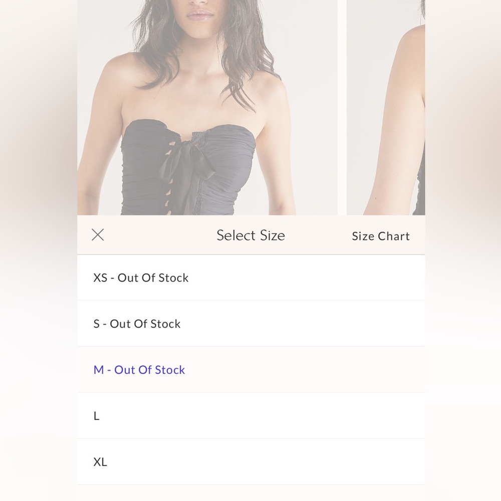 Free People Aurelia Silky Corset Top - Picture 9 of 17